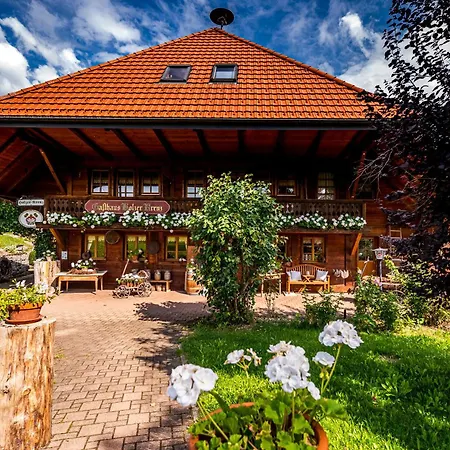 Apartment Gaestehaus Holzer Kreuz -ferienwohnung 