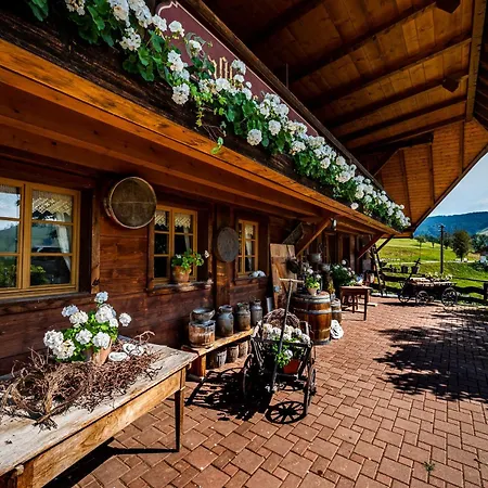 Apartment Gaestehaus Holzer Kreuz -ferienwohnung 